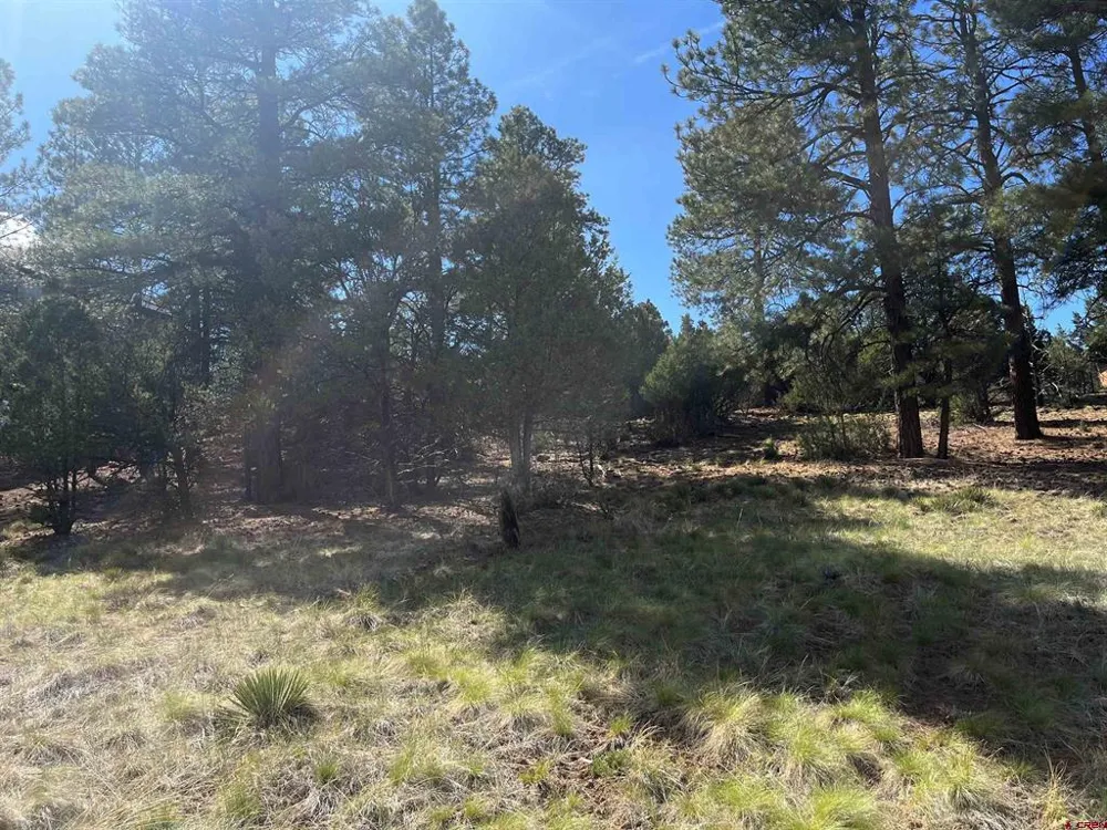 White Tail Lane Ridgway, CO 81432