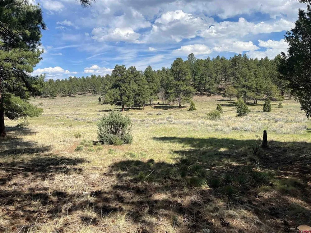 White Tail Lane Ridgway, CO 81432
