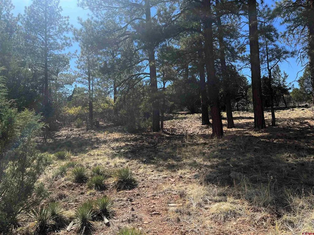 White Tail Lane Ridgway, CO 81432