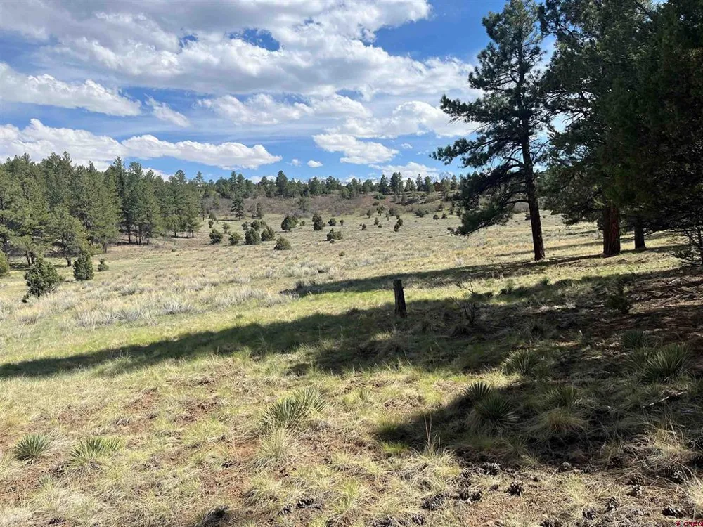 White Tail Lane Ridgway, CO 81432