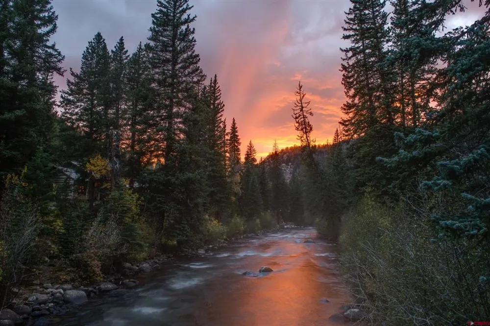 10931 County Road 742 Almont, CO 81230