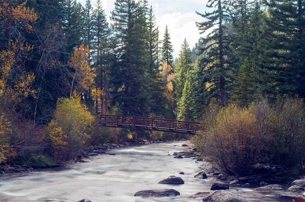 10931 County Road 742 Almont, CO 81230