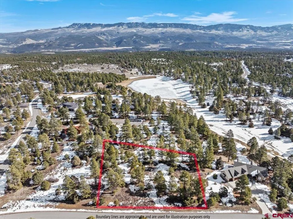564 Marmot Ridgway, CO 81432