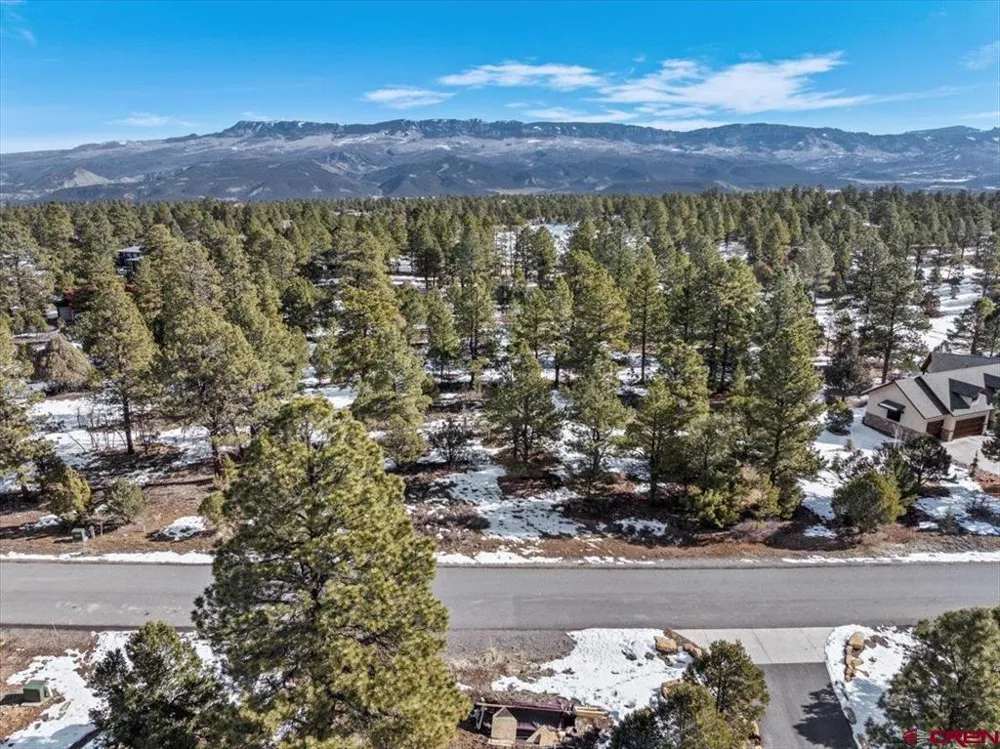 564 Marmot Ridgway, CO 81432