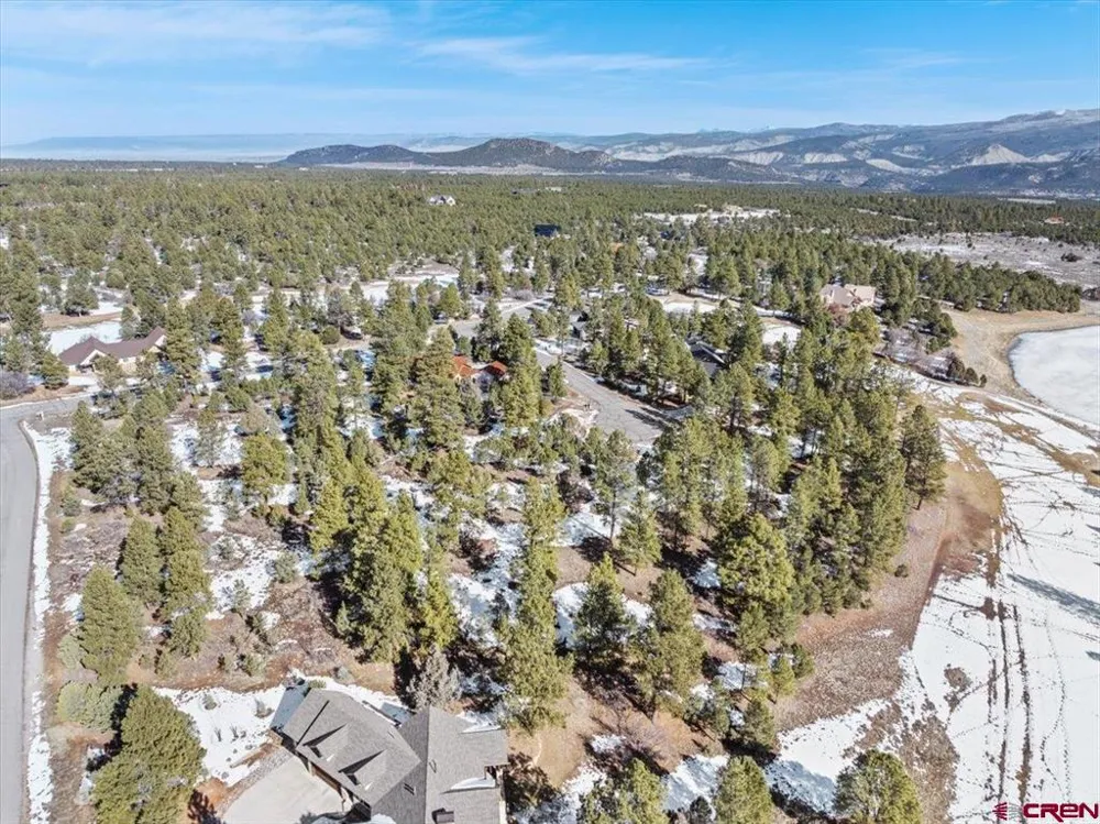 564 Marmot Ridgway, CO 81432