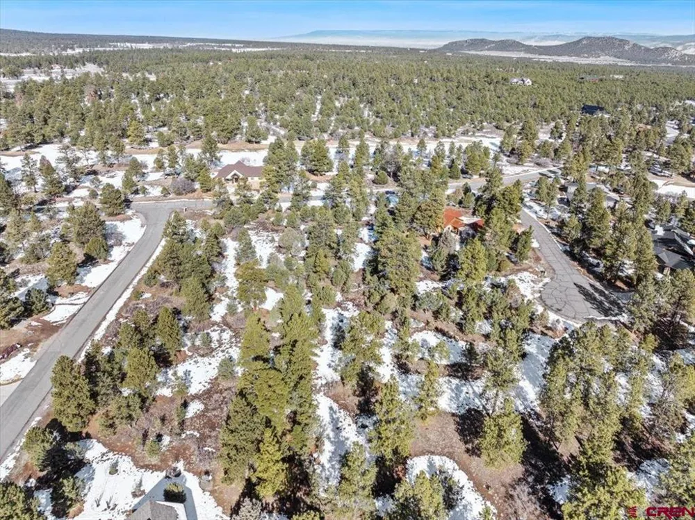 564 Marmot Ridgway, CO 81432