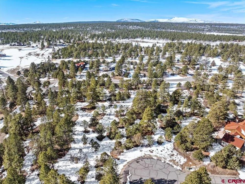 564 Marmot Ridgway, CO 81432