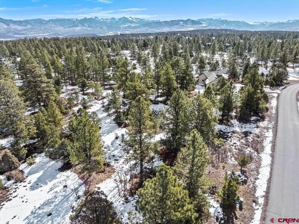 564 Marmot Ridgway, CO 81432