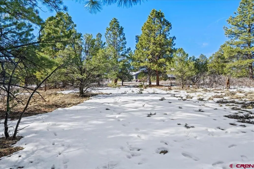 564 Marmot Ridgway, CO 81432