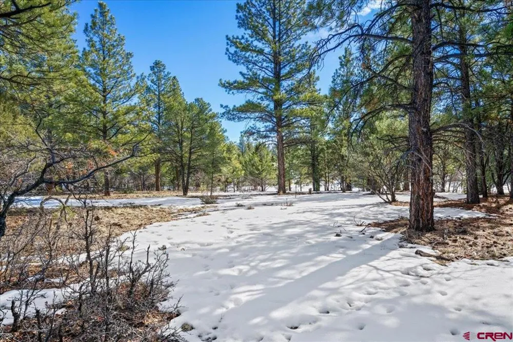 564 Marmot Ridgway, CO 81432