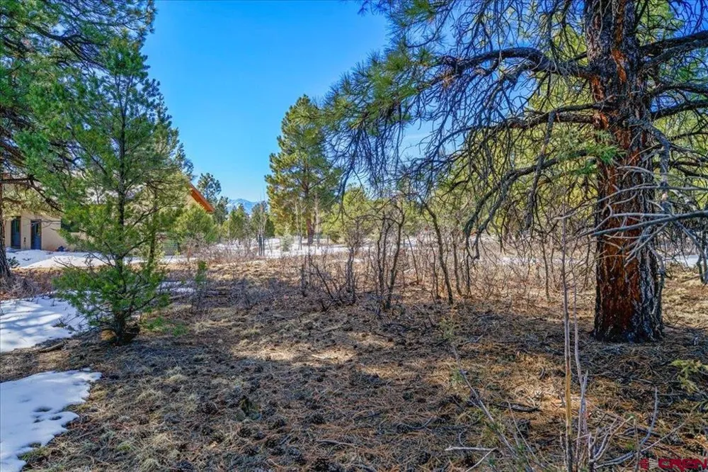 564 Marmot Ridgway, CO 81432