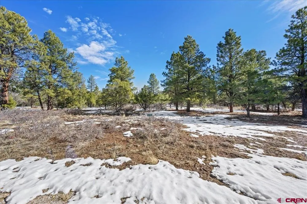 564 Marmot Ridgway, CO 81432