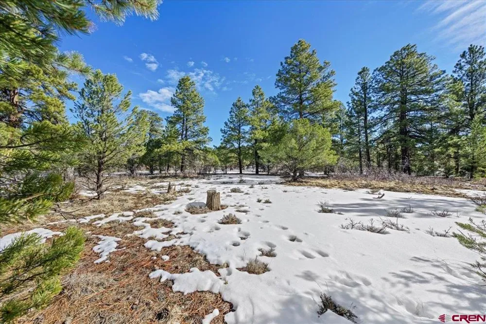 564 Marmot Ridgway, CO 81432