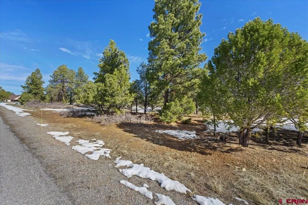 564 Marmot Ridgway, CO 81432