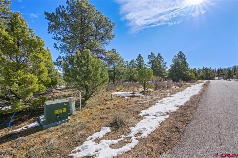 564 Marmot Ridgway, CO 81432