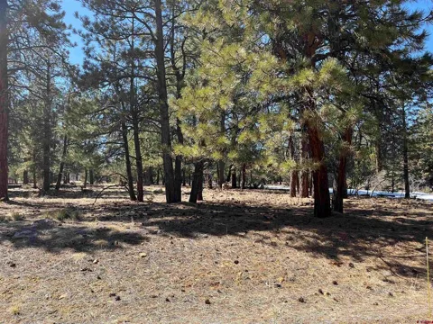 Badger Trail South