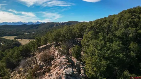 524 McClure Gulch Road