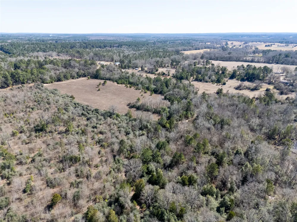 County Road 442 Palestine, TX 75803