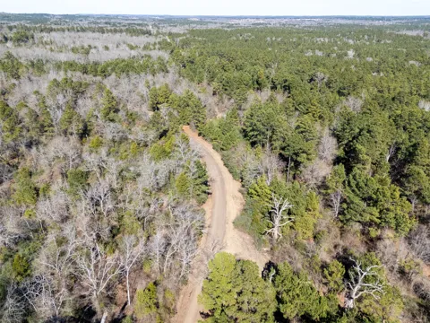 County Road 442