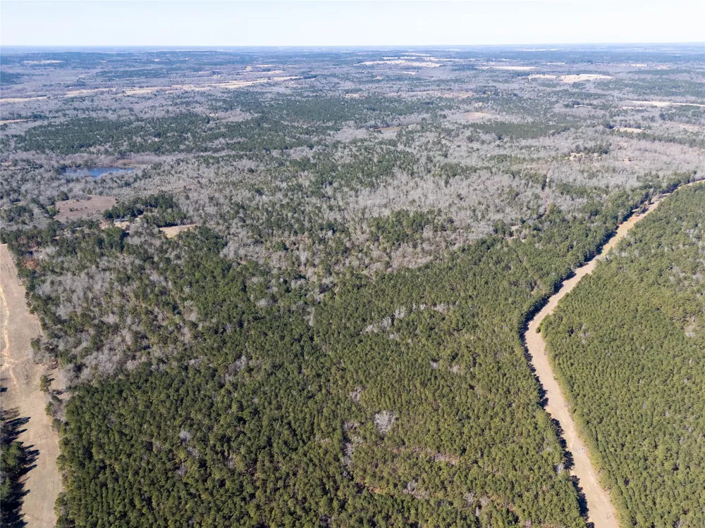 County Road 442 Palestine, TX 75803