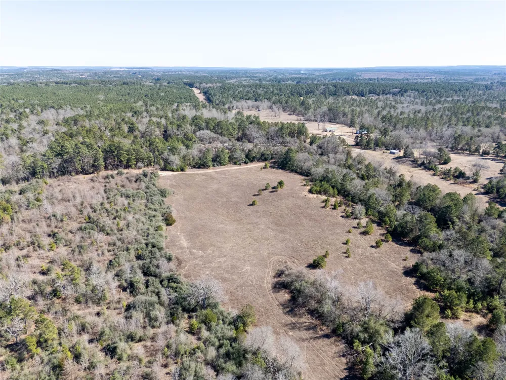 County Road 442 Palestine, TX 75803