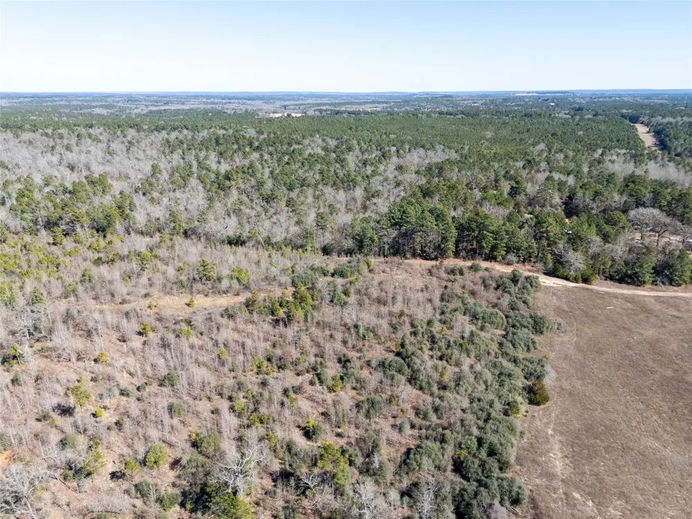 County Road 442 Palestine, TX 75803