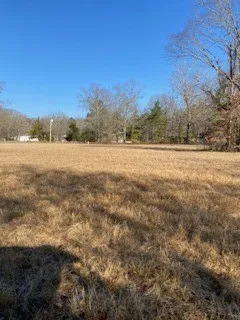 Bellevue Road #Lot 2 Haughton, LA 71037