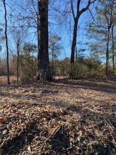 Bellevue Road #Lot 2 Haughton, LA 71037