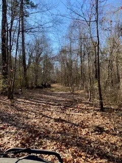 Bellevue Road #Lot 2 Haughton, LA 71037