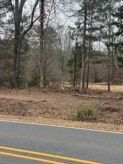 Bellevue Road #Lot 2