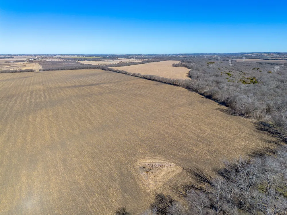 Ivy Lane Elm Mott, TX 76640