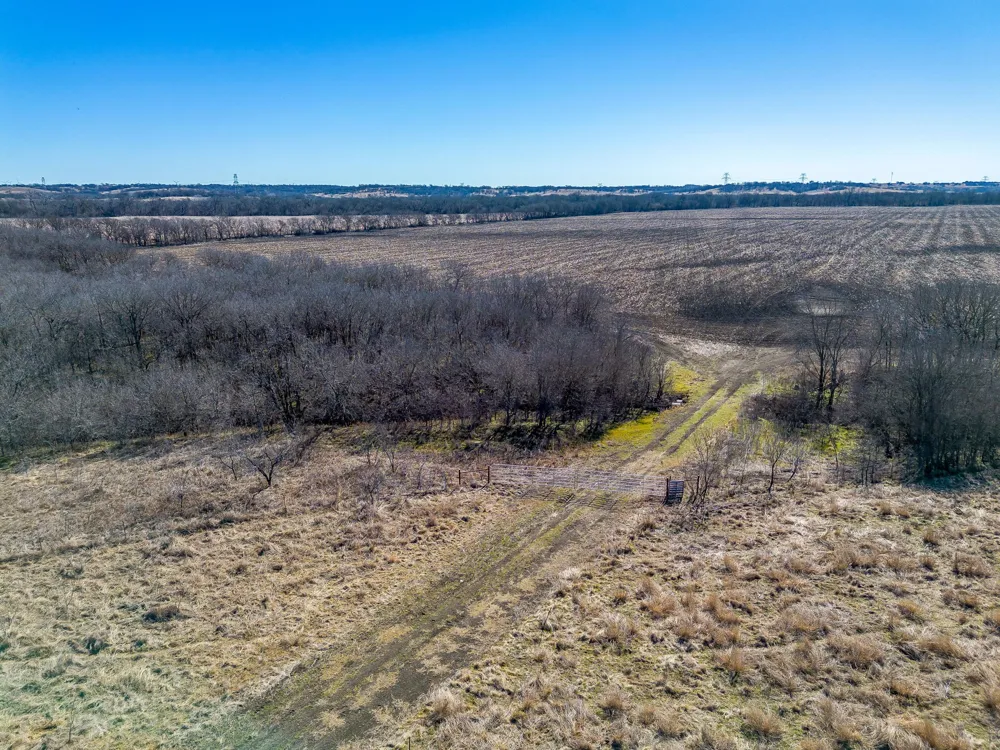 Ivy Lane Elm Mott, TX 76640