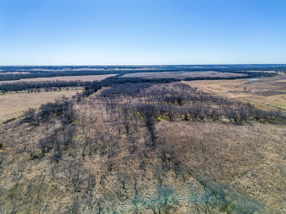 Ivy Lane Elm Mott, TX 76640