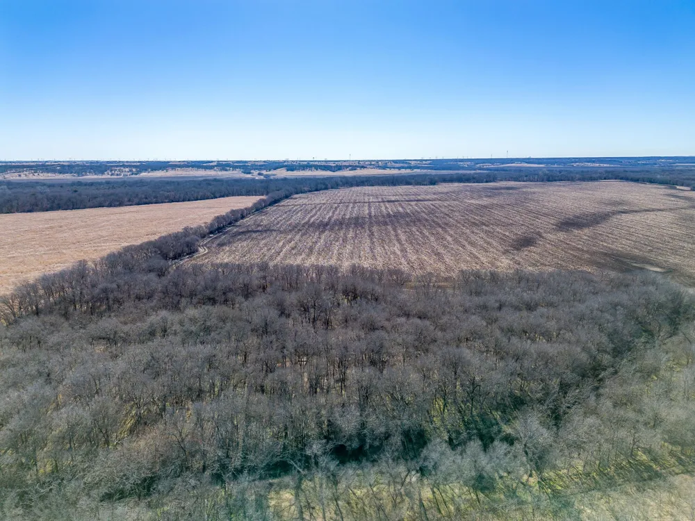 Ivy Lane Elm Mott, TX 76640