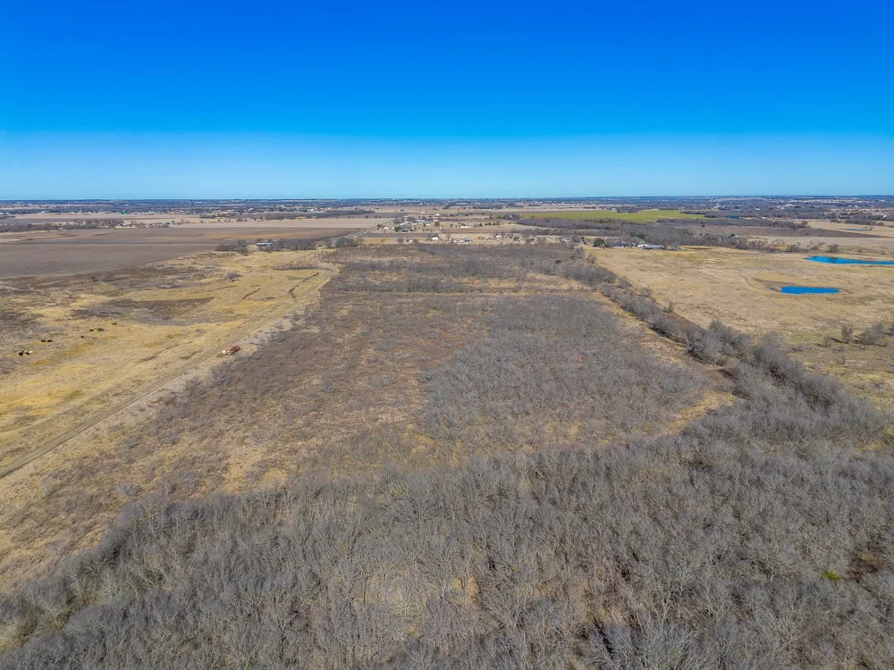 Ivy Lane Elm Mott, TX 76640