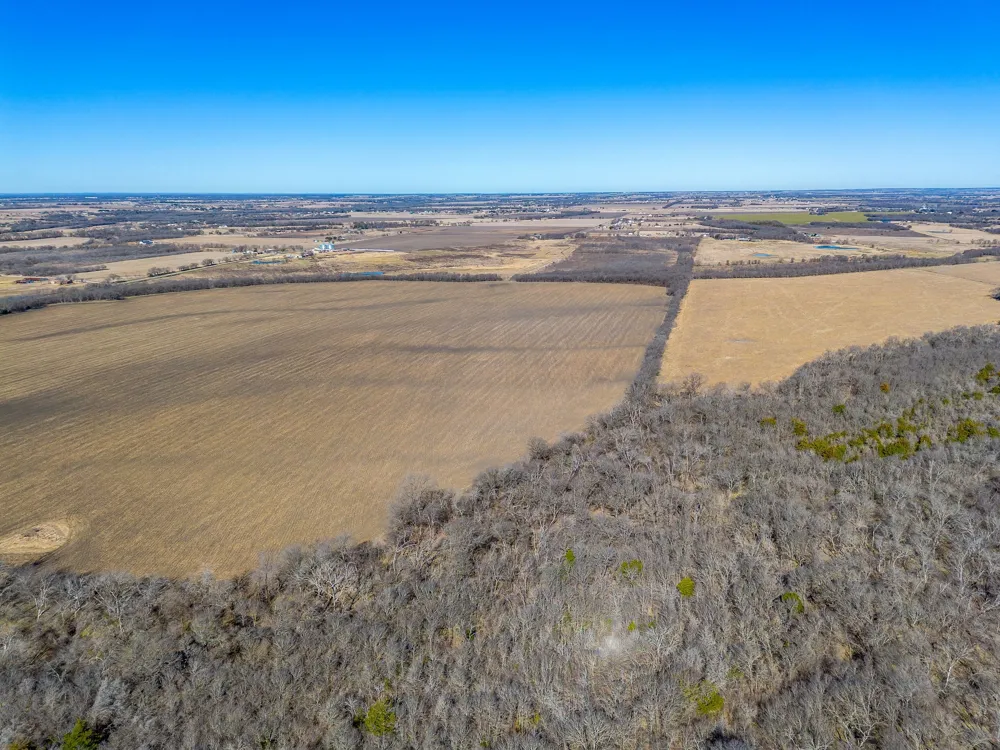 Ivy Lane Elm Mott, TX 76640