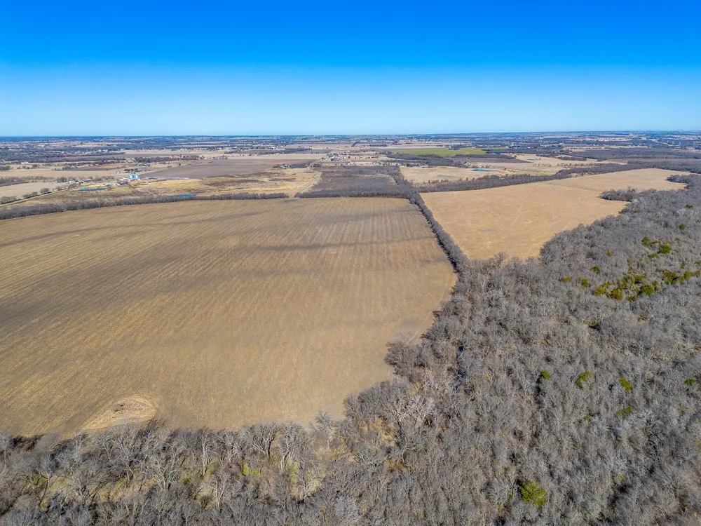 Ivy Lane Elm Mott, TX 76640