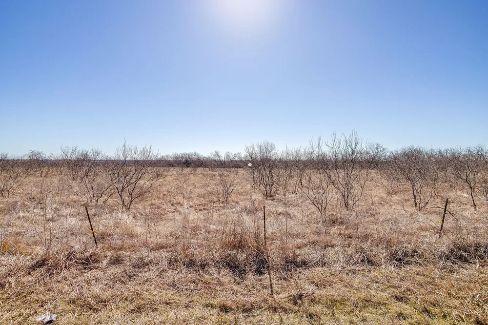 Ivy Lane Elm Mott, TX 76640