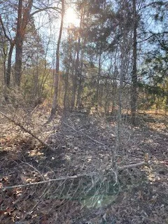 Bellevue Road #Lot 1 Haughton, LA 71037