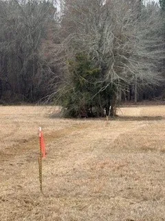Bellevue Road #Lot 1