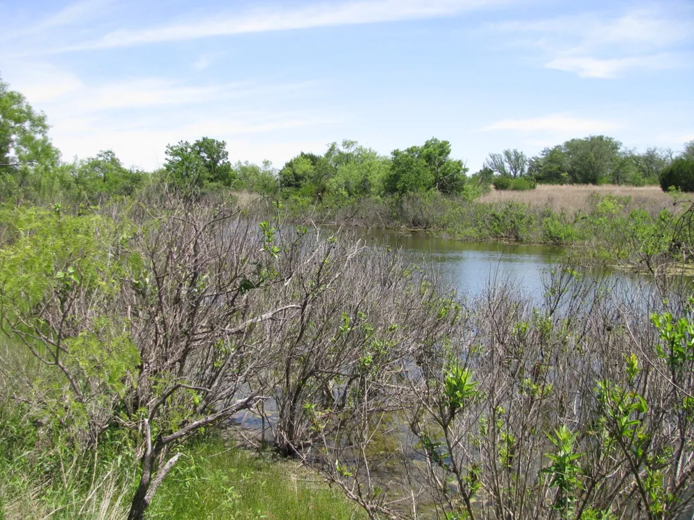 FM 2842 Pottsville, TX 76565