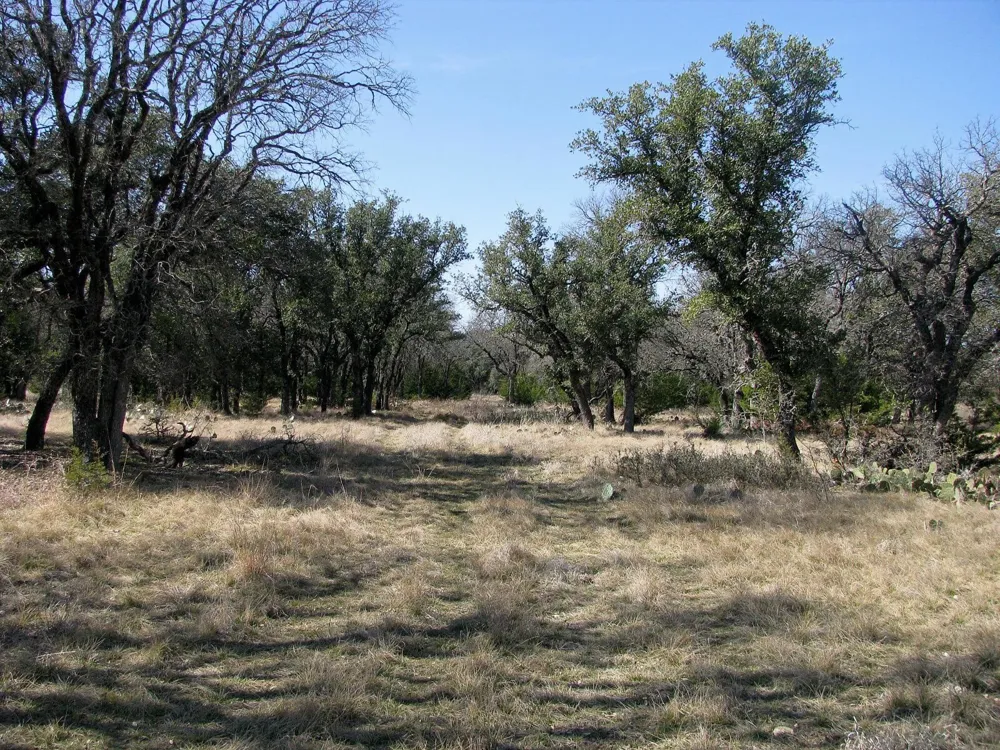 FM 2842 Pottsville, TX 76565