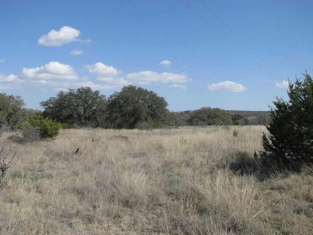 FM 2842 Pottsville, TX 76565