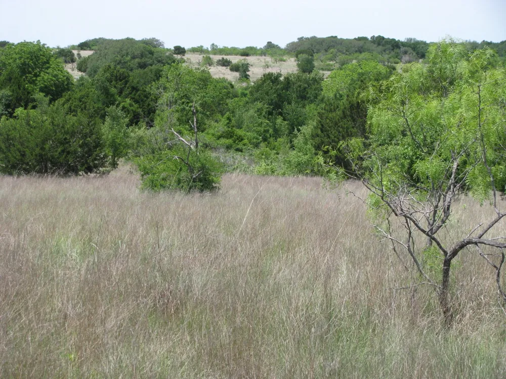 FM 2842 Pottsville, TX 76565