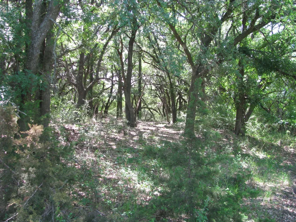 FM 2842 Pottsville, TX 76565