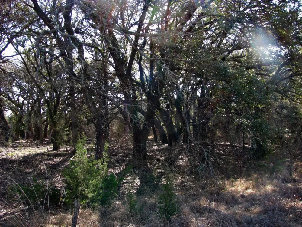 FM 2842 Pottsville, TX 76565