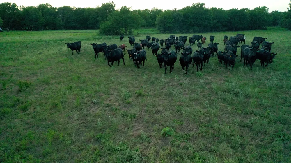 LCR 623 Groesbeck, TX 76642