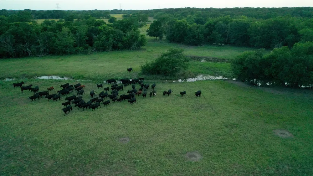 LCR 623 Groesbeck, TX 76642