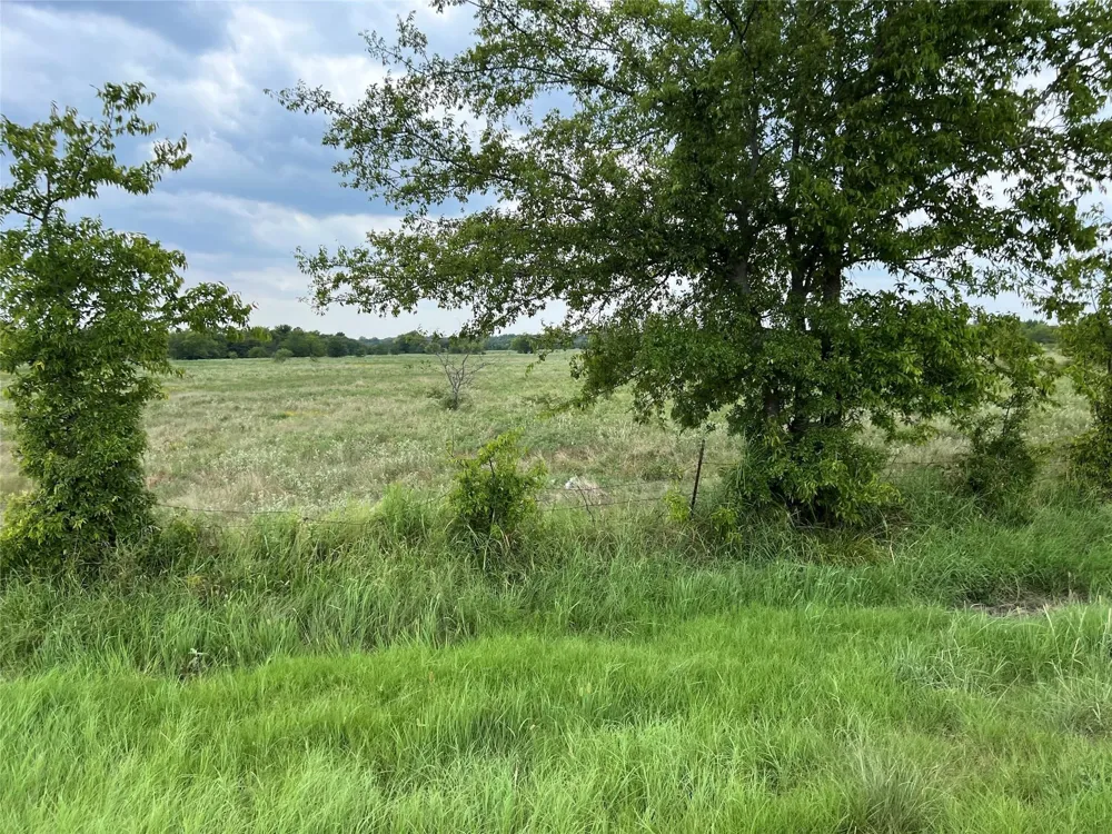 53 Fm-513 Campbell, TX 75422