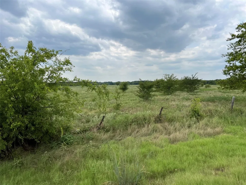 53 Fm-513 Campbell, TX 75422